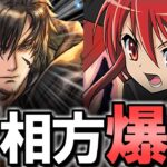 【強みと課題を解説】4年ぶりのFFコラボ!!早速シャナの相方とサブ候補が登場!?でもちょっと気になる点も…～ファイナルファンタジーコラボ～【パズドラ】
