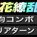 百花繚乱5終了のお知らせ【パズドラ 】