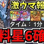 【無料星6確定】激ウマ報酬！周回必須！龍楽士コロシアム周回！シヴァドラ編成など5パターン！代用・立ち回り解説！龍愛少女ライブステージ【パズドラ】