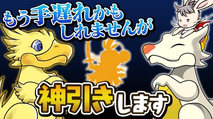 FFガチャとCDガチャ、合計600連してまだ出てないキャラがいます。【パズドラ】