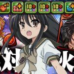 【さらに向こうへ】シャナ編成の究極完全体、超超火力攻略編成、爆誕！【ffコラボ　パズドラ　クライヴ】