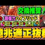 超火力編成がえぐい！！ジョシュアが環境編成にも最強サブとして入れて超優秀！！【億兆】【ファイナルファンタジー】【パズドラ実況】