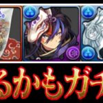 【神イベ】超人権キャラ出るかもガチャがヤバすぎる【パズドラ】