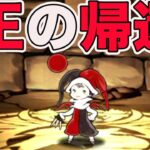 あの曲芸士が超強くなって帰ってきた！かっこわらい