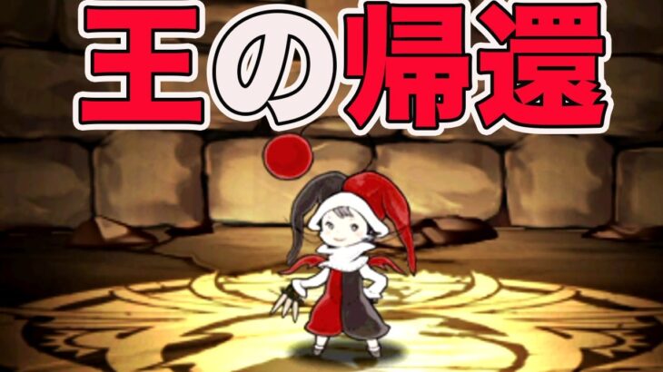 あの曲芸士が超強くなって帰ってきた！かっこわらい
