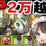 【凶兆適正】まさかのパティ越え⁈ メタポルのサブ性能がヤバすぎる【パズドラ】