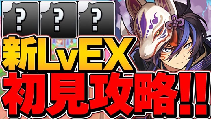 【史上最難関】11月クエスト”LVEX”初見攻略！クロトビ最強テンプレで完全崩壊！！【パズドラ】