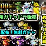 【12月のいろいろ】毎年恒例の無料ガチャやフェス限ガチャドラ確定販売など！今日の情報まとめ【パズドラ】