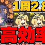 1周2.8億経験値！ダンボ9！サフィーラ裏修羅編成が最強！ランク上げ勢必見！【パズドラ】