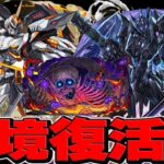 【炎上対応⁈】無料で最大50連⁈既存キャラ超絶強化⁈ 式神復刻⁈ 運営の暴走がヤバすぎる【パズドラ】