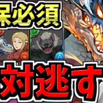 【絶対逃すな】最強で誰でもGETできる確保必須なキャラを逃すな！確保数からシヴァドラ周回編成まで！チェンソーマンコラボ【パズドラ】