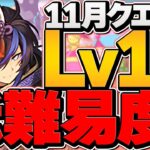 クロトビ引けた人向け！編成難易度低めでLV15攻略！代用多数！11月クエスト【パズドラ】