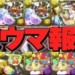 【過去最高⁈】X-MENコロシアムが美味すぎる【パズドラ】