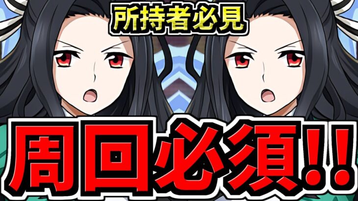 【所持者必見】コスパ最強！七草編成で爆速激ウマ周回！&テンプレ解説！代用・立ち回り解説！龍楽士コロシアム/龍愛少女ライブステージ【パズドラ】
