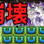 【設定ミス？】ハクタイガーの衝撃の事実がヤバすぎる【パズドラ】
