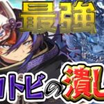 クロトビ最強時代終了⁈次の最強候補がヤバすぎる【パズドラ】