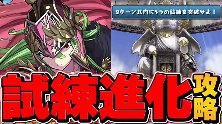 試練進化が実装！最強ぶっ壊れチートのアテナは全プレイヤー確保必須です！【パズドラ】