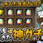今年もやってきた！最大無料50連の大感謝ガチャで◯◯連！？【パズドラ】