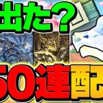 全プレイヤーに大感謝フェス最大50連配布！フェス限大量ゲット！？神イベントすぎてヤバい！！【パズドラ】