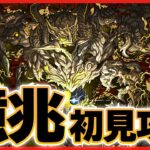 【パズドラドラゴン縛り】ついに来てしまった『裏億兆』ドラゴン縛りで初見攻略するぞ！！