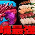 【実写】坊主になって食べるお寿司が美味すぎてヤバい【パズドラ】