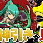 【単発くん】ガチャ納めしときますかぁ…【パズドラ】