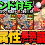 クリスマスサレーネは絶対に”人権”です。シヴァドラ周回に革命！？ループでもバケモンです！！【パズドラ】