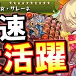 【交換した方がいい】サレーネが早速ぶっ刺さり!!闘技場のメリークリスマス(クリスマスコロシアム)と式神使いと妖コロシアムのシヴァドラ周回編成を紹介します。【パズドラ】