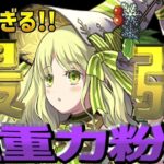 史上最強青天井⁈ 火力倍率ぶっ壊れ！クリスマスアルジェがヤバすぎる【パズドラ】