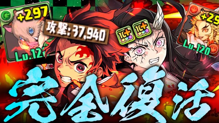 【環境復活】ぶっ壊れ竈門炭治郎、奇跡の復活。【パズドラ　鬼滅の刃】