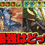 シヴァドラvs正月ノルディス！周回最強無課金キャラはどっち！？性能比較！【パズドラ】