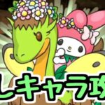 【生放送】マイメロで1月クエスト【パズドラ】