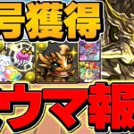 超重力ドラゴンラッシュ1をアグリゲートで攻略！全敵対応テンプレ！魔法石&称号をゲットしよう！【パズドラ】