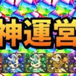 【史上初⁈】スタミナ12で魔法石大量GET⁈ ガンコラ超えのピィ乱獲イベも⁈【パズドラ】