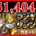 【251,404点】ランダン／ガネーシャ杯の立ち回り【パズドラ解説動画】