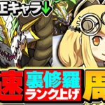 【実質4倍】正月ノルディスで裏修羅ランク上げ！1周1.4億経験値！ずらすだけで快適周回！ランク1000メモリアル狙い！【パズドラ】
