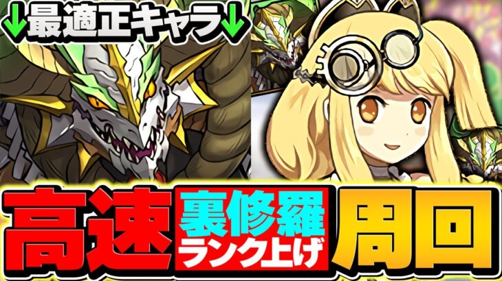 【実質4倍】正月ノルディスで裏修羅ランク上げ！1周1.4億経験値！ずらすだけで快適周回！ランク1000メモリアル狙い！【パズドラ】