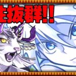 軽減ループ⁈ 6コンボ加算⁈ 魔改造されたキルアが裏千手おさんぽでヤバすぎる【パズドラ】
