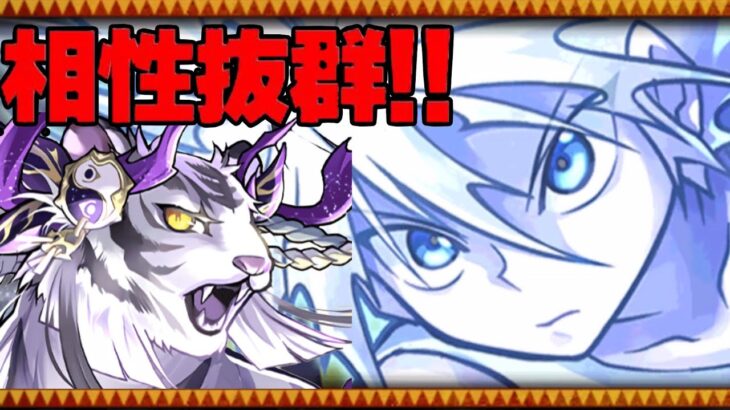 軽減ループ⁈ 6コンボ加算⁈ 魔改造されたキルアが裏千手おさんぽでヤバすぎる【パズドラ】
