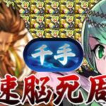 【レシート不要】ぶっ壊れ周回キャラ誕生⁈ 7〜8分でサクサク周れて美味すぎる【パズドラ 千手】
