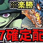 【星7確定ガチャGET】キメラアント周回！シヴァドラ編成！代用・立ち回り解説！HUNTER×HUNTER ハンターハンターコラボ【パズドラ】