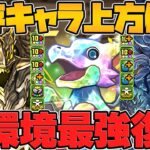ガチャドラ&グランエルヴ&アグリゲートがまさかの強化！フェス限8体ぶっ壊れ多数！【パズドラ】