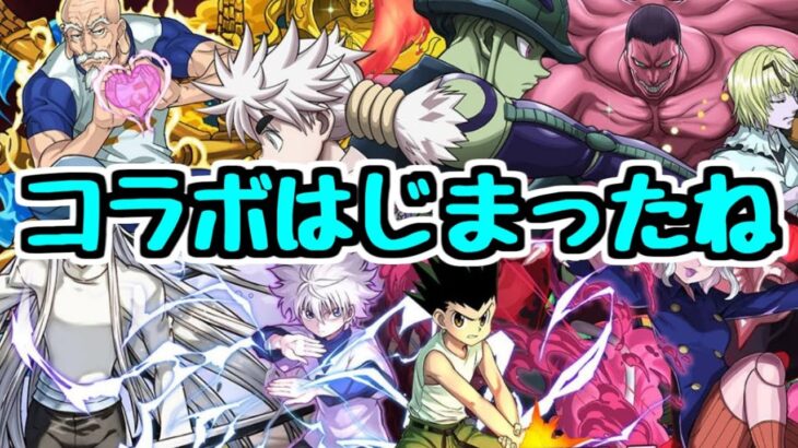 【生放送】HUNTER×HUNTERコラボを触るよ。ガチャ沼りたくない。【パズドラ】