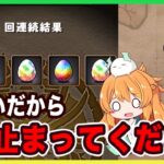 【無課金パズドラ】ハンターハンターコラボでネフェルピトーを出すぞ！！気がついたら石がかなり減ってました…【HUNTER×HUNTER】