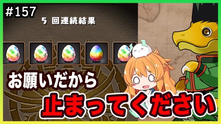 【無課金パズドラ】ハンターハンターコラボでネフェルピトーを出すぞ！！気がついたら石がかなり減ってました…【HUNTER×HUNTER】
