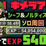 【パズドラ】HUNTER×HUNTERキメラアント！ソロ周回1分台！ランク経験値5400万以上周回編成の紹介！