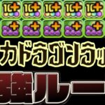 超重力ドラゴンラッシュ！最強脳筋システムで粉砕出来る⁈【パズドラ】