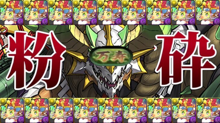 【革命】正月ノルディス万寿周回編成がヤバすぎる【パズドラ】
