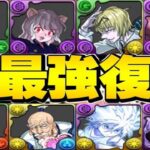 史上最高倍率⁈ メルエム＆ゴン完全復活！既存も新規もぶっ壊れ！ハンターハンターコラボがヤバすぎる【パズドラ】