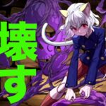 ピトーが強すぎる　パズドラ